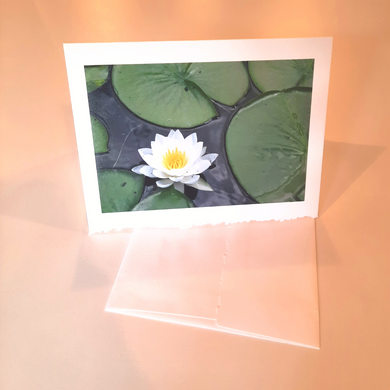 Match life's important moments and messages with a beautiful photo greeting card.  Blank Inside Handmade by local Wisconsin photographer, Cathy Zimmerman Printed in the USA Size: 7