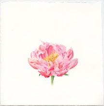 Load image into Gallery viewer, Peony Watercolor Card - Patti Corning