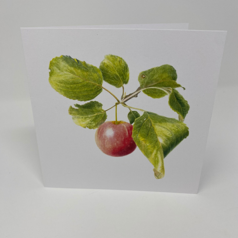 Apple Branch Watercolor Card - Patti Corning
