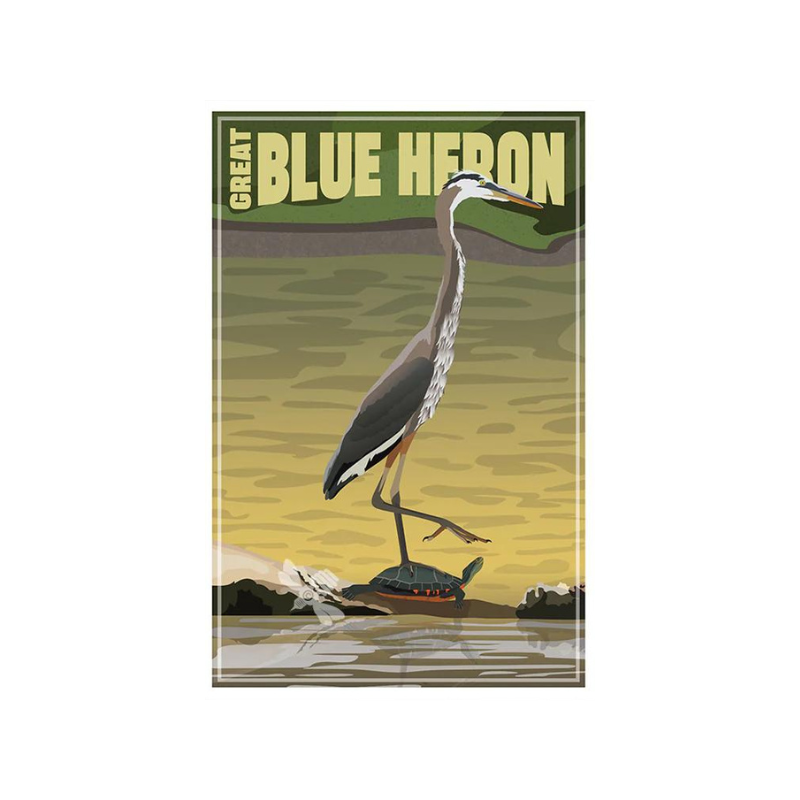 Great Blue Heron with Turtle Card. Brighten someone's day with a hand written note or frame it!  One Sided Card, Blank Envelope Included Designed by Local Wisconsin Artist, Bemused Designs