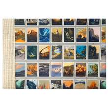 Load image into Gallery viewer, Brighten up your favorite sleep space with a beautiful, soft pillowcase.  This pillowcase is a perfect gift for the National Parks enthusiast in your life.  Standard Size measures 30&quot; x 20&quot; One pillowcase Washing Instructions: Machine Wash Cold/Tumble Dry Low Product designed and sewn by&nbsp;AdventureUs in Northern Wisconsin  Materials: 100% cotton&nbsp;Riley Blake Designs™ National Parks Badges fabric
