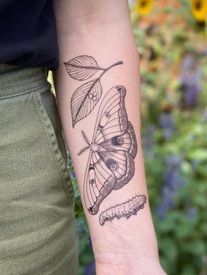 Express yourself with this fun nature-themed temporary tattoo.  The polyphemus moth is a silk moth; the caterpillar munches on several different tree species then pupates in a silk cocoon, and finally emerges as a huge 4-6 inch wide golden brown moth with a furry body and antennae. Measures 6.25 by 2.5 inches with black lines and stippling.   Made in Austin, TX USA