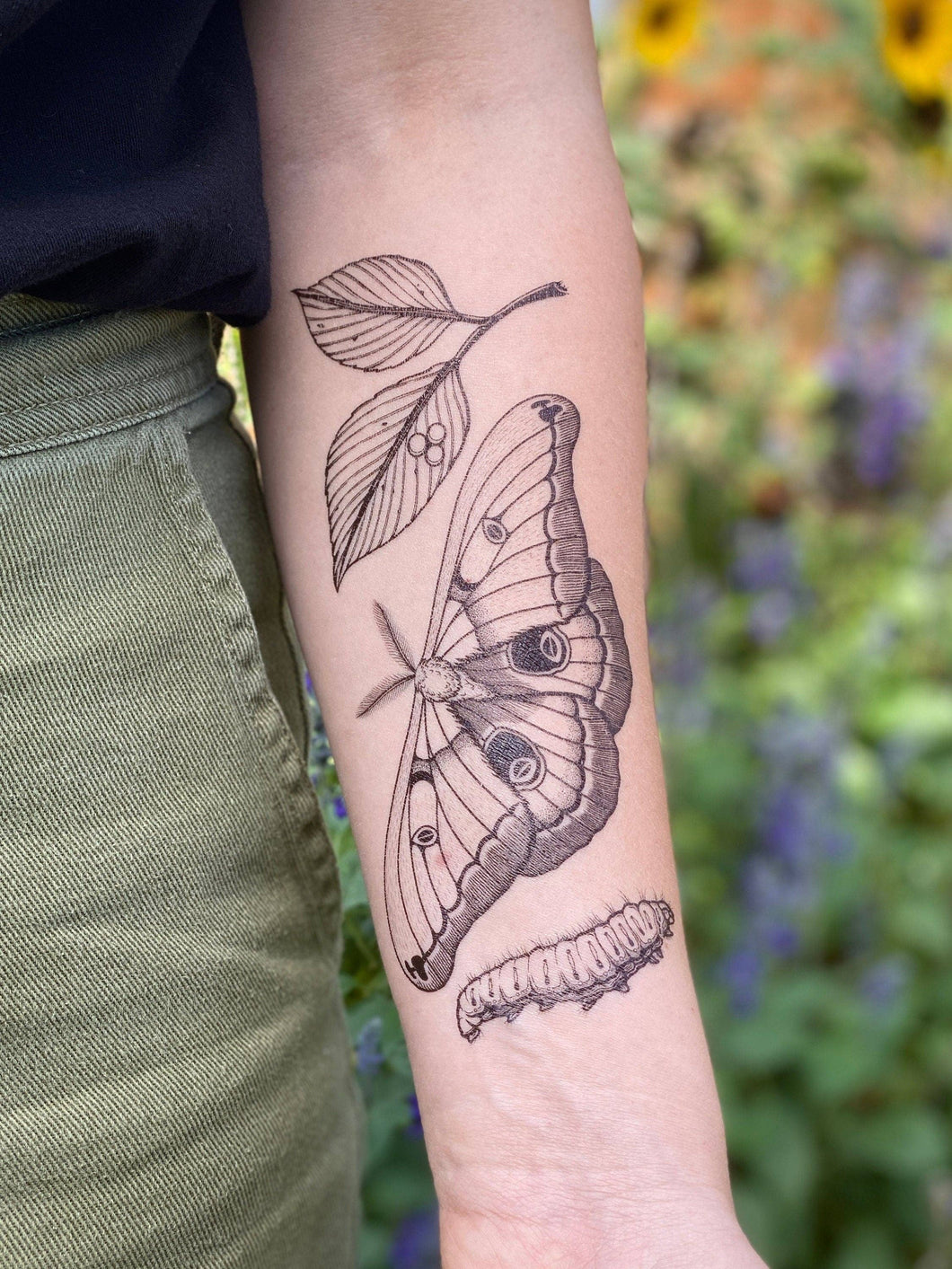 Express yourself with this fun nature-themed temporary tattoo.  The polyphemus moth is a silk moth; the caterpillar munches on several different tree species then pupates in a silk cocoon, and finally emerges as a huge 4-6 inch wide golden brown moth with a furry body and antennae. Measures 6.25 by 2.5 inches with black lines and stippling.   Made in Austin, TX USA