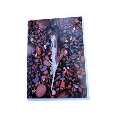 Feathered Stone Beach - Photo Greeting Card