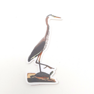 Heron with Painted Turtle Sticker