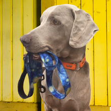 Load image into Gallery viewer, Hit the trails in style with AdventureUs fun &amp; funky dog leashes.