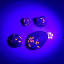 Load image into Gallery viewer, UV Flashlights are great for rock hunting, quick cure Gear Aid Field Repair, and more!