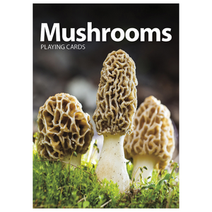 Heading on an overnight or looking for the perfect gift? Don't forget to grab a set of these fun & educational playing cards. Features images of 54 species of mushrooms - family fun for everyone!  Size: 2.5" x 3.5"