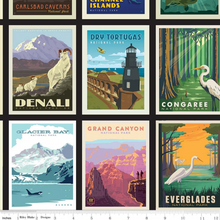 Load image into Gallery viewer, Riley Blake National Parks themed fabric collection is a great way to combine your love of the outdoors with your love of crafting!