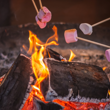 Load image into Gallery viewer, Mix up the end to your camping days with these fun variations on s&#39;mores.
