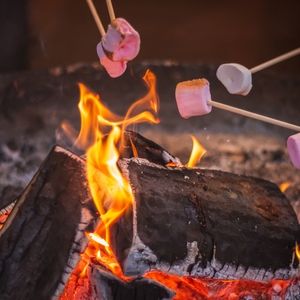Mix up the end to your camping days with these fun variations on s'mores.