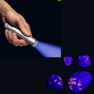 UV Flashlights are great for rock hunting, quick cure Gear Aid Field Repair, and more!
