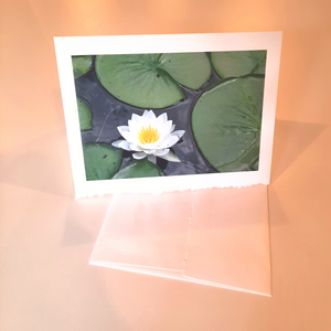 Match life's important moments and messages with a beautiful photo greeting card.  Blank Inside Handmade by local Wisconsin photographer, Cathy Zimmerman Printed in the USA Size: 7" x 5"