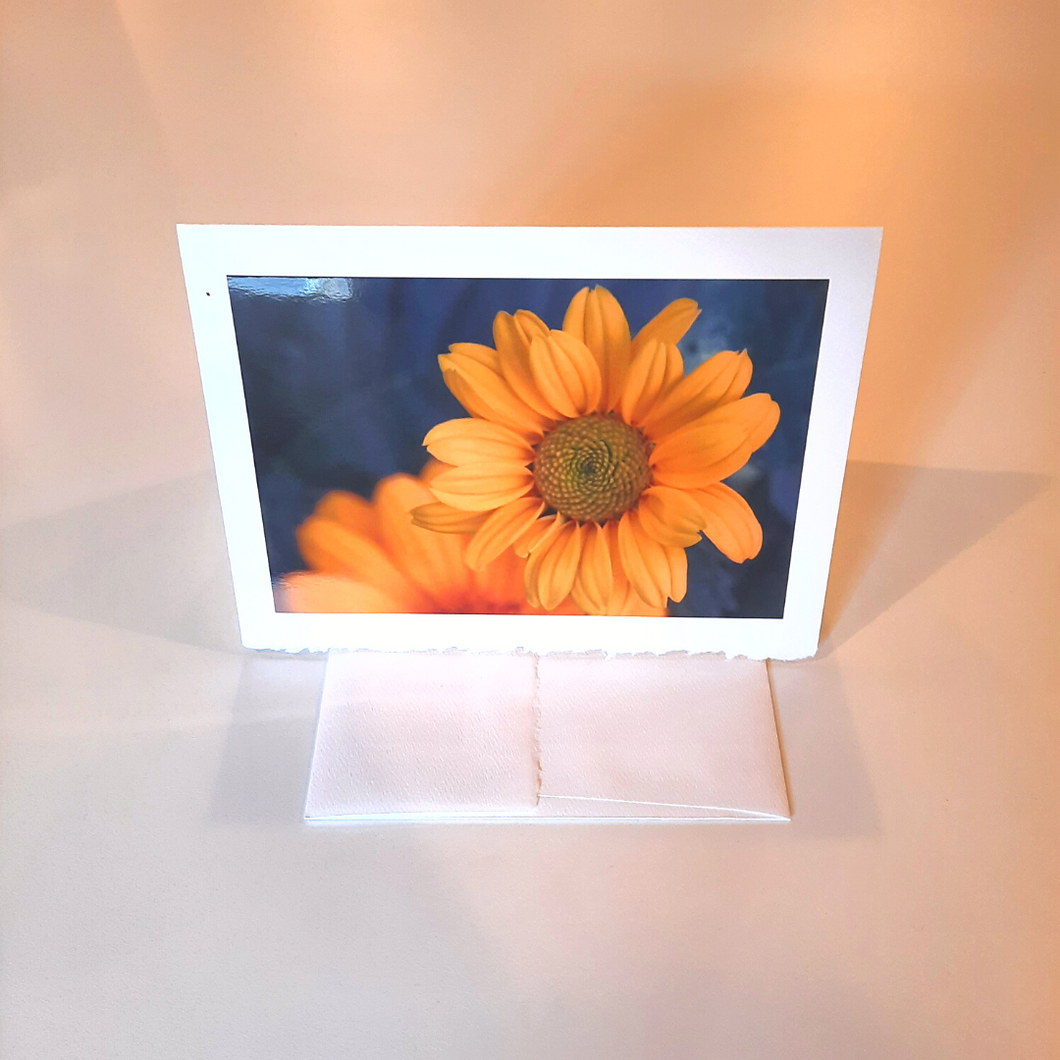 Match life's important moments and messages with a beautiful photo greeting card.  Blank Inside Handmade by local Wisconsin photographer, Cathy Zimmerman Printed in the USA Size: 7